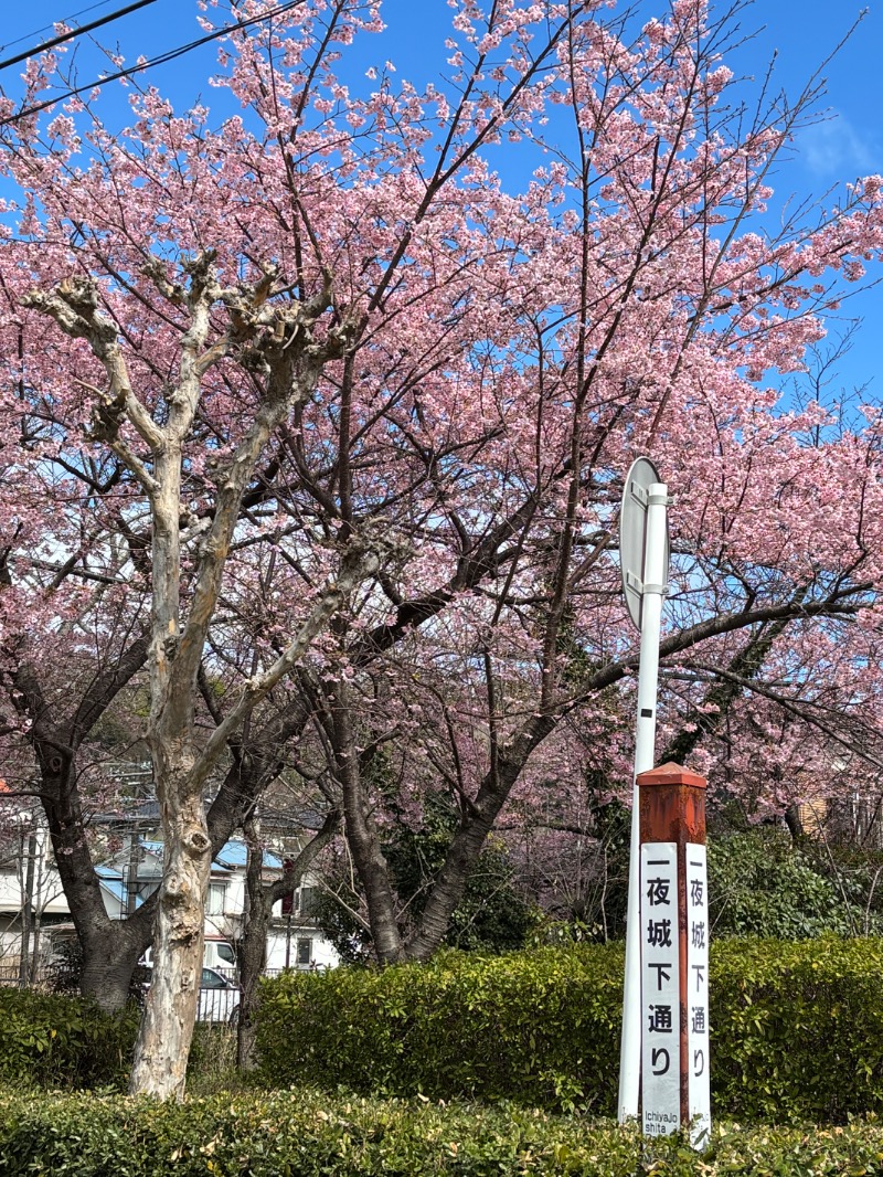 ようすこうさんの山賊サウナのサ活写真