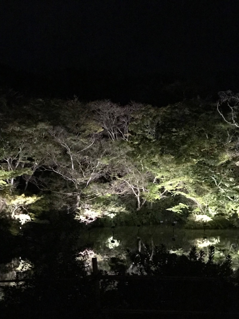 麻衣さんの御船山楽園ホテル  らかんの湯のサ活写真