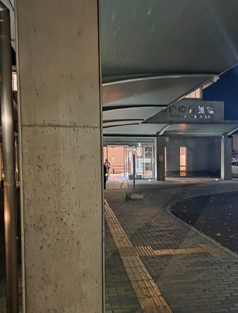 ibさんのあけの元気館のサ活写真