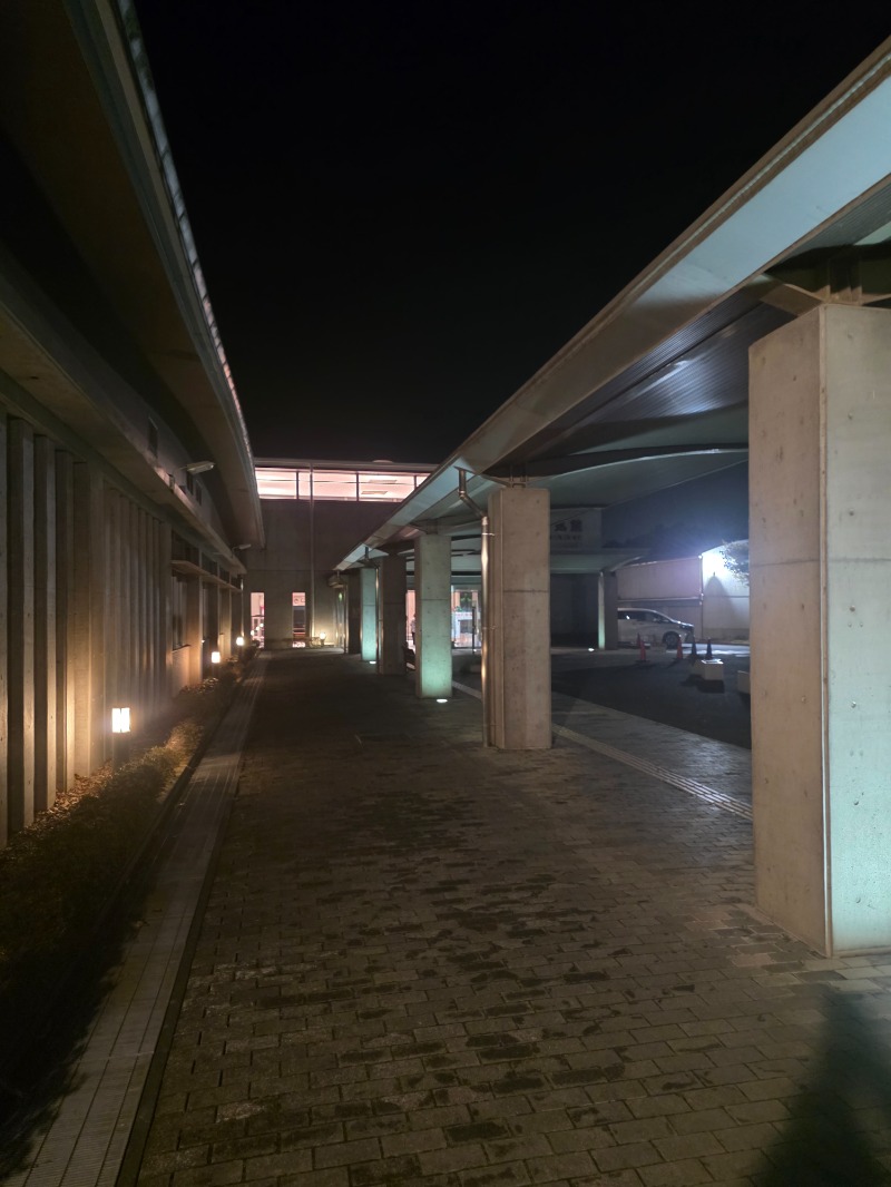 ibさんのあけの元気館のサ活写真