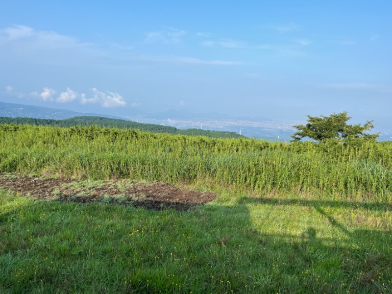 しさんのTHE GLAMPING 箱根十国峠のサ活写真