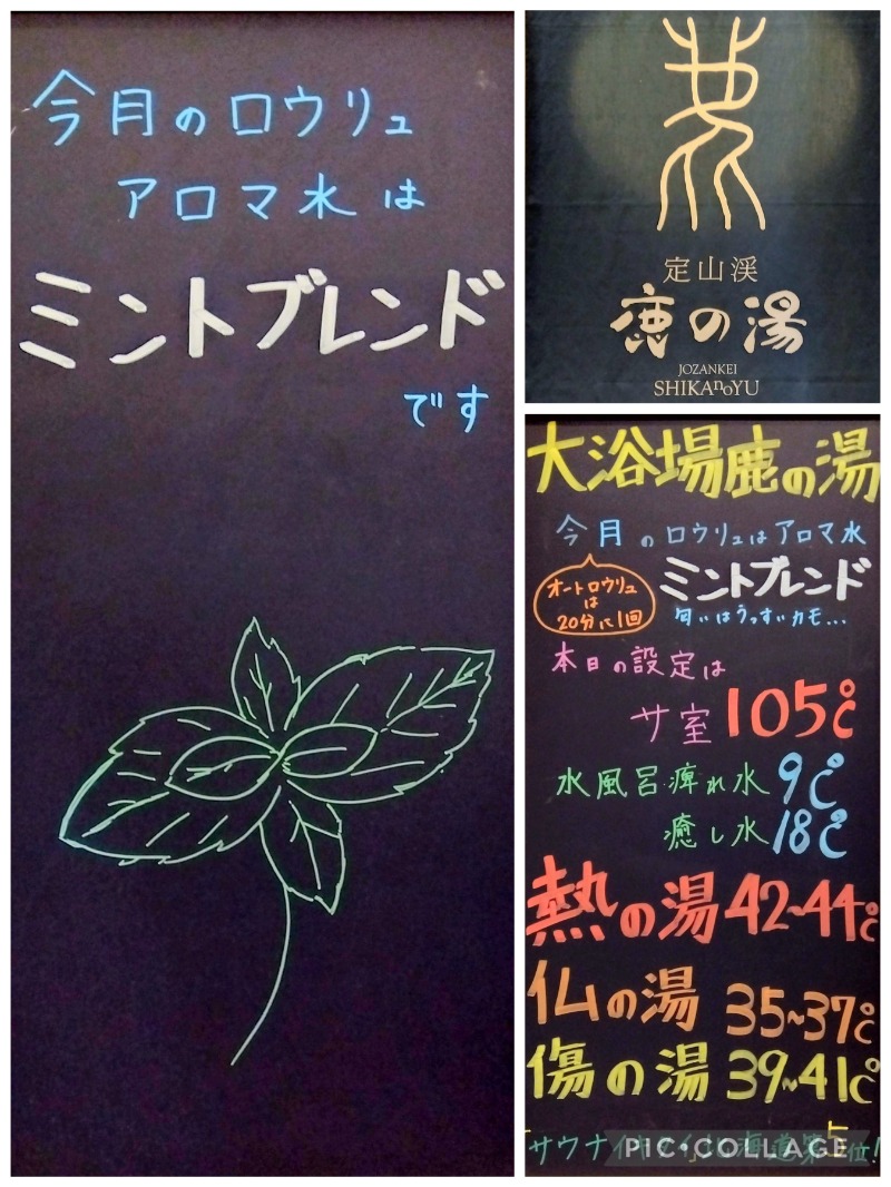 閻魔さんの定山渓 鹿の湯のサ活写真