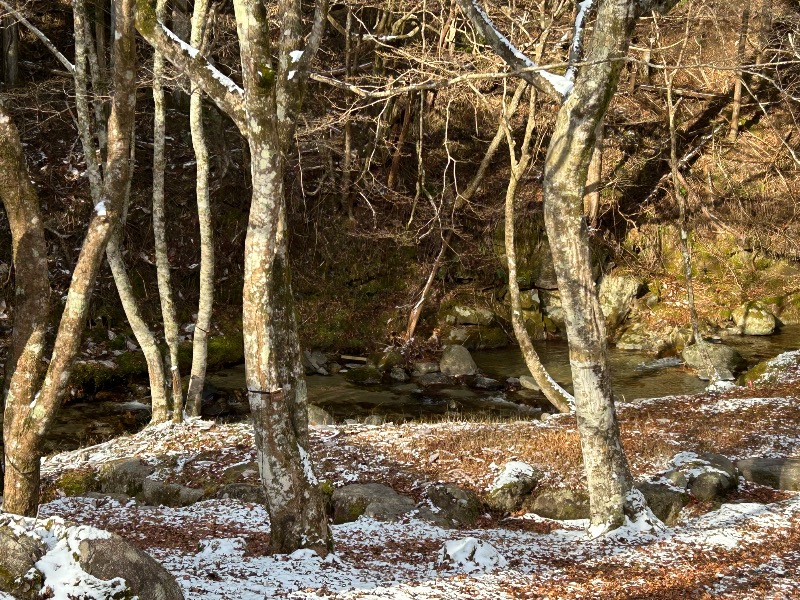 らしゅぱんさんのSHITARA VILLAGEのサ活写真