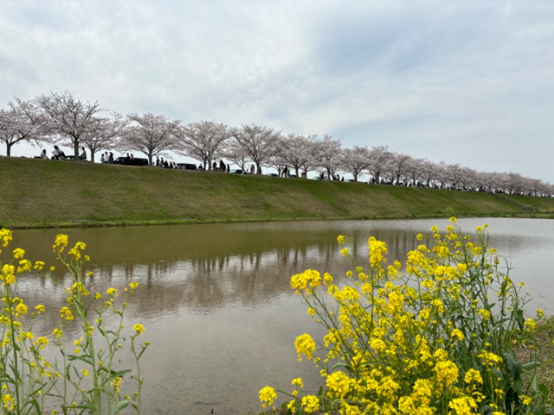 SARUMIさんの白雲谷温泉ゆぴかのサ活写真