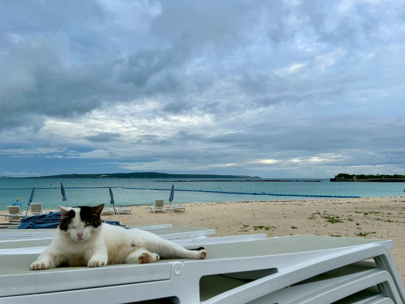 たかさんのホテル シギラミラージュのサ活写真
