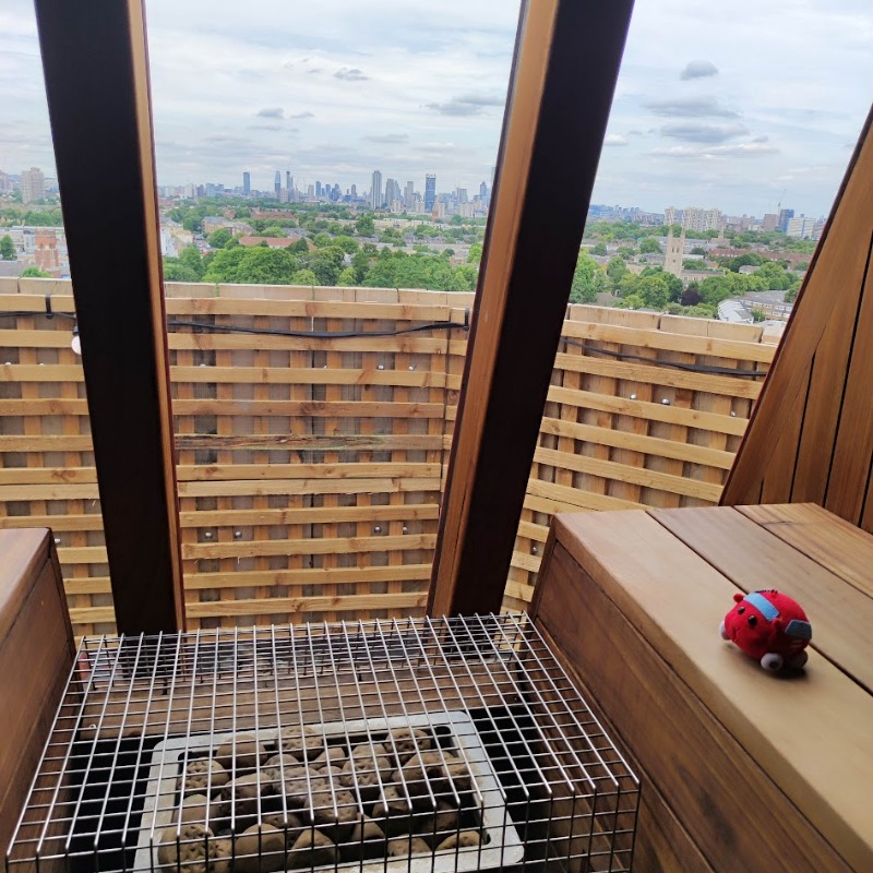 NApuipuiさんのRooftop Saunas Brixtonのサ活写真