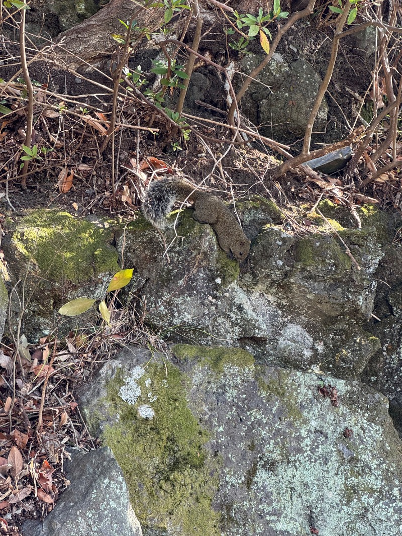 黒猫のうるるさんの水の家のサ活写真