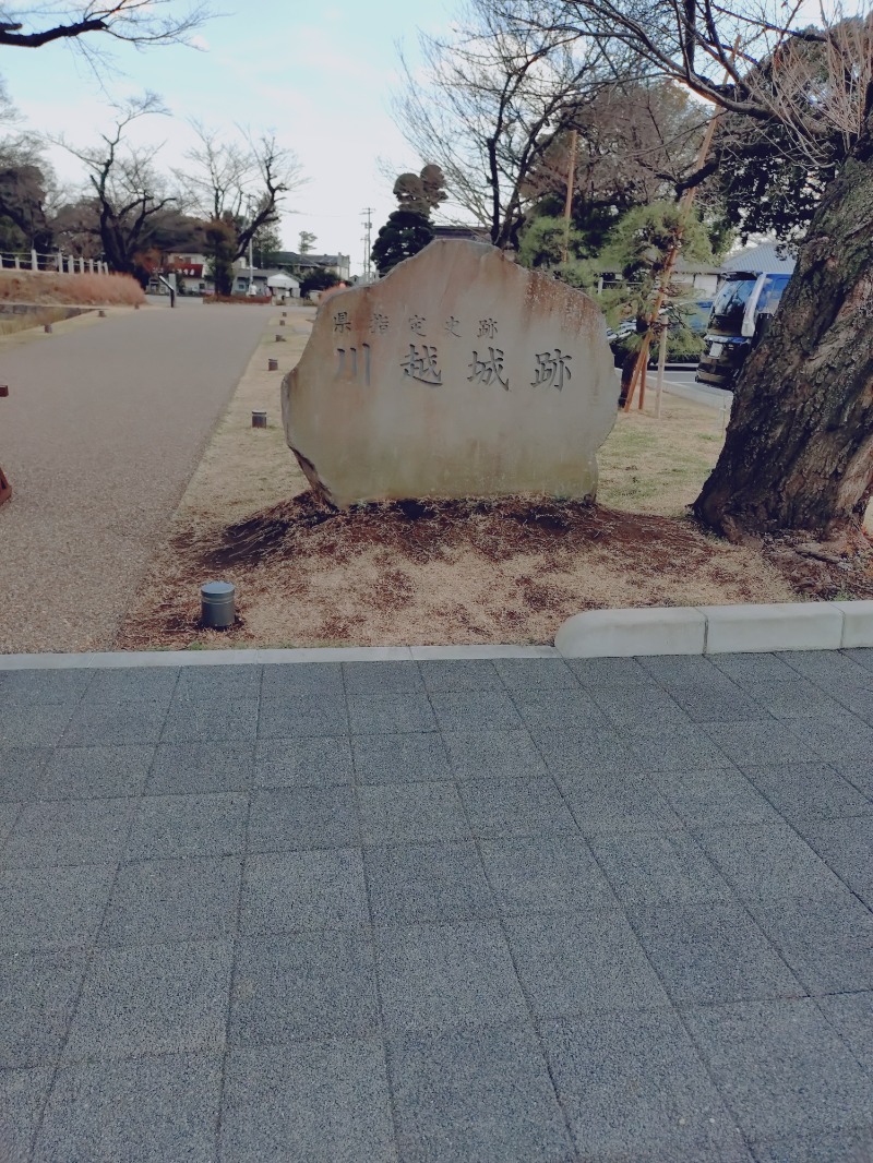 かっしーcさんのサウナ横綱 本川越店のサ活写真