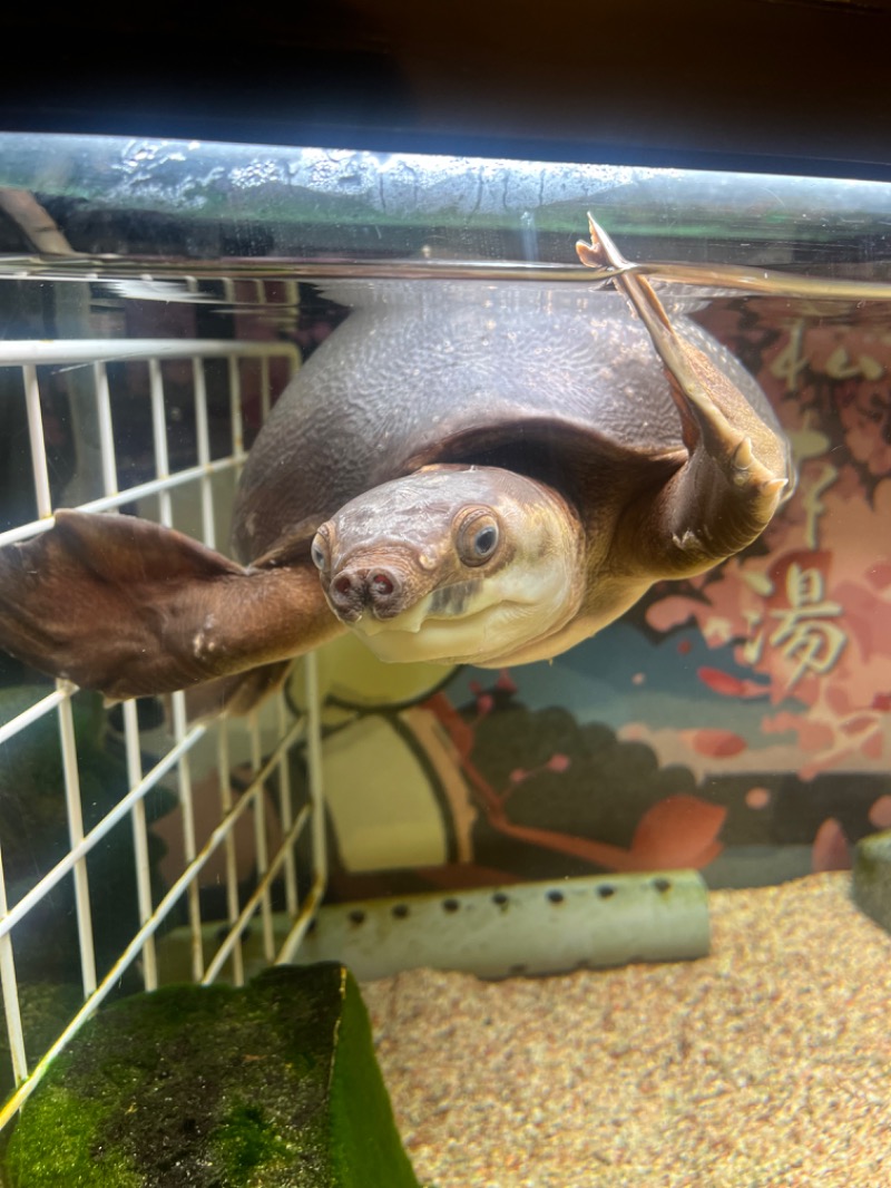 水香さんの松本湯のサ活写真