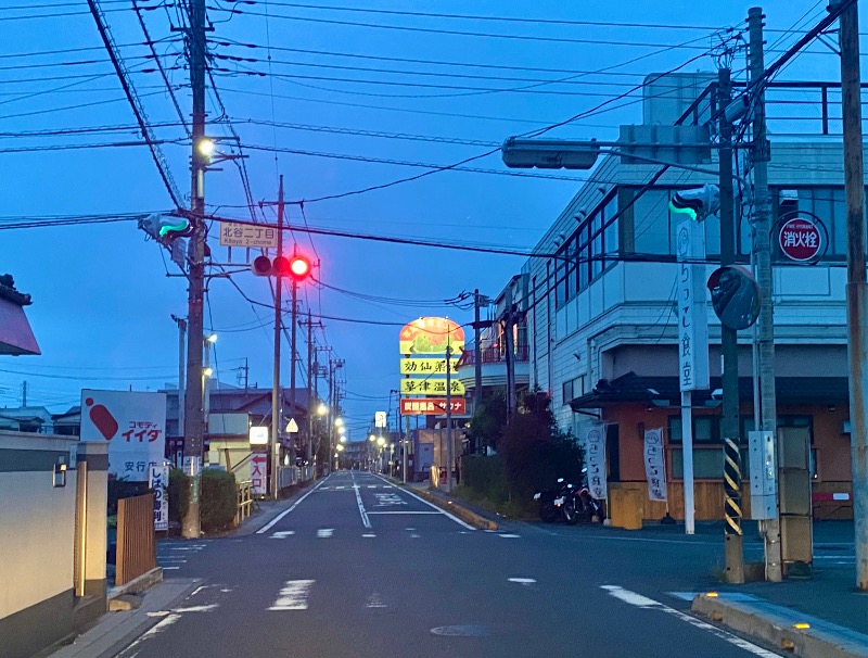 takadamiannutsさんの湯乃泉 草加健康センターのサ活写真