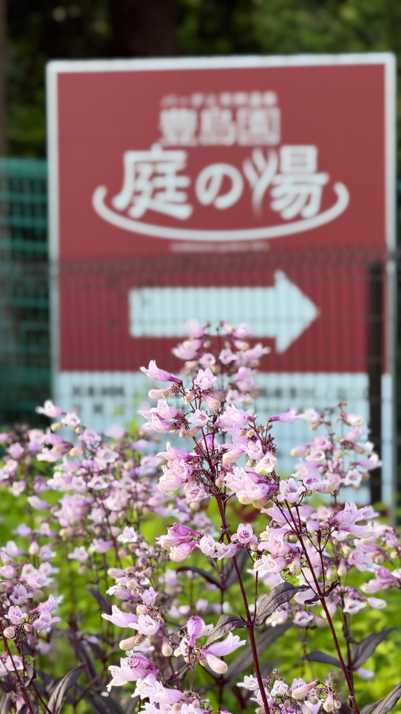 さかまつさんの豊島園 庭の湯のサ活写真