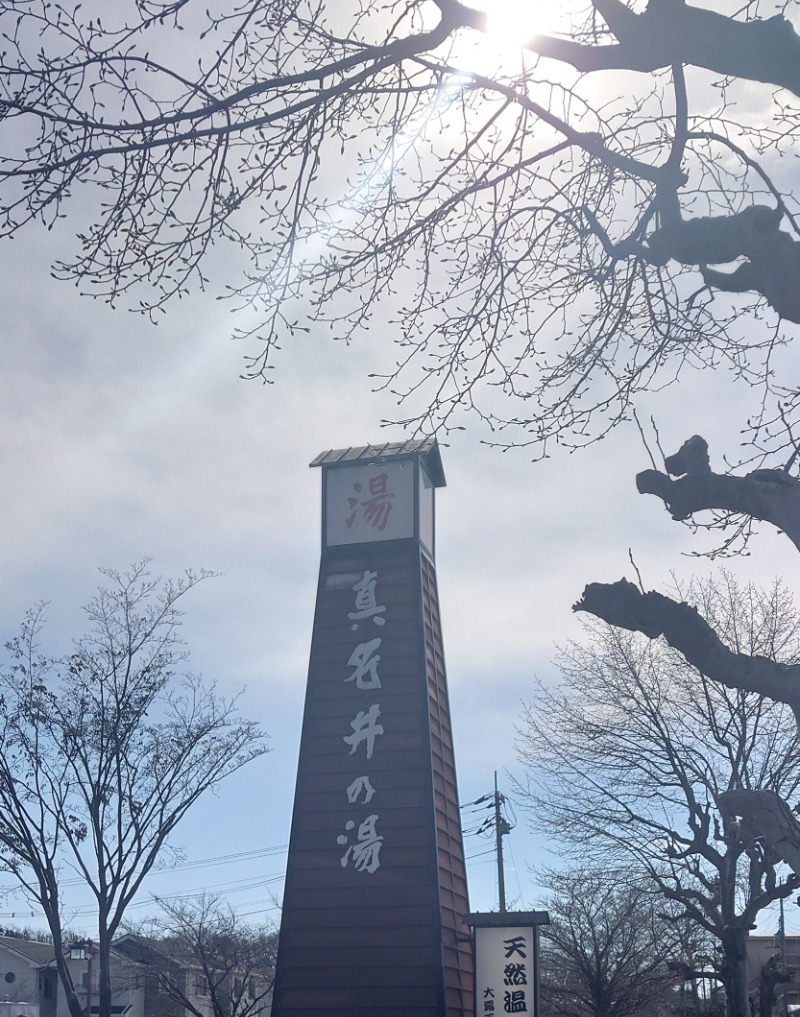 ibさんの天然温泉 真名井の湯 大井店のサ活写真