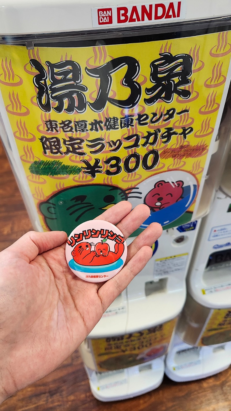 だもさんの湯乃泉 東名厚木健康センターのサ活写真