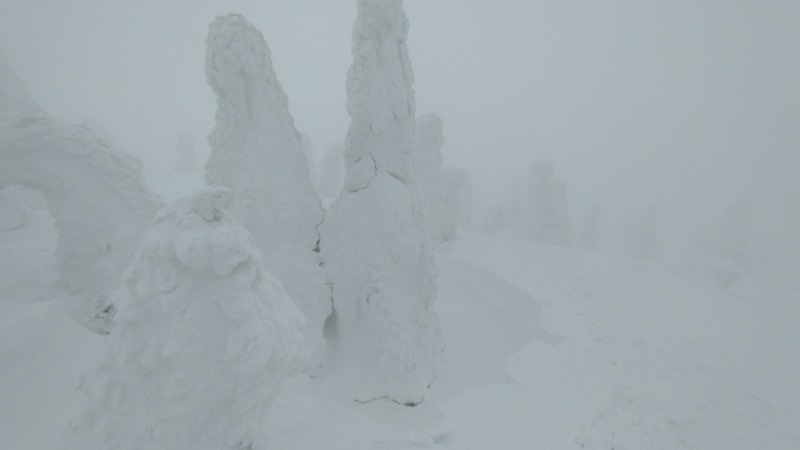 tori-sanさんの小倉温泉旅館のサ活写真