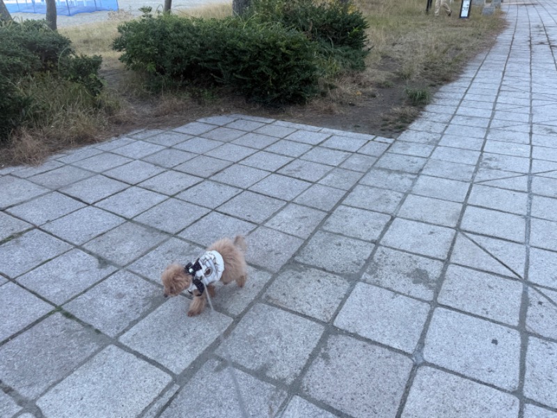 空之輔さんのセントラルウェルネスクラブ能見台のサ活写真