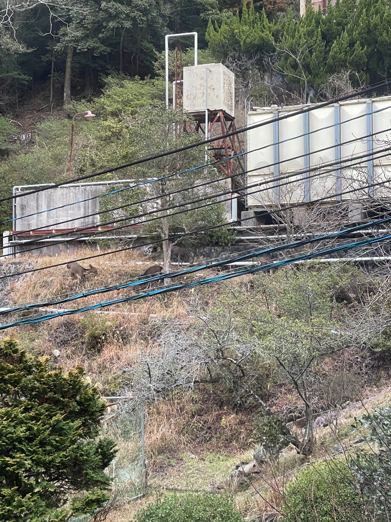 ggさんの湯本観光ホテル西京のサ活写真