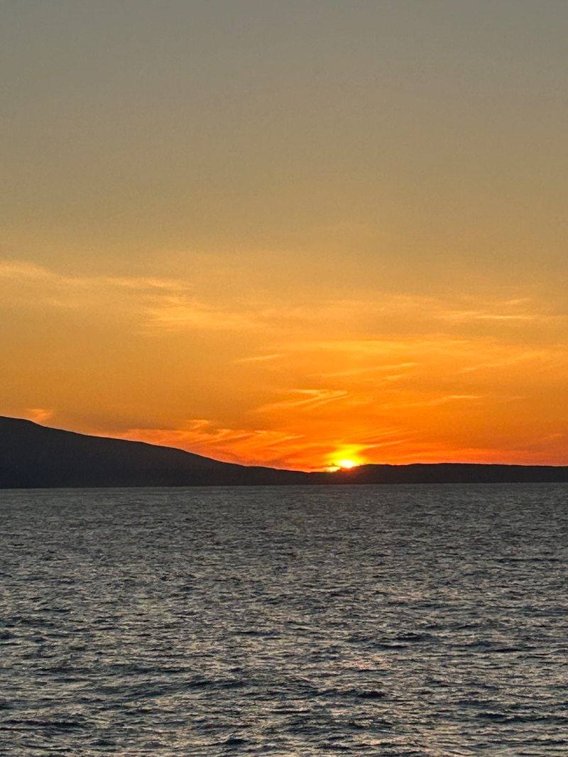 37_Mt.Fさんのらべんだあ(新日本海フェリー)のサ活写真