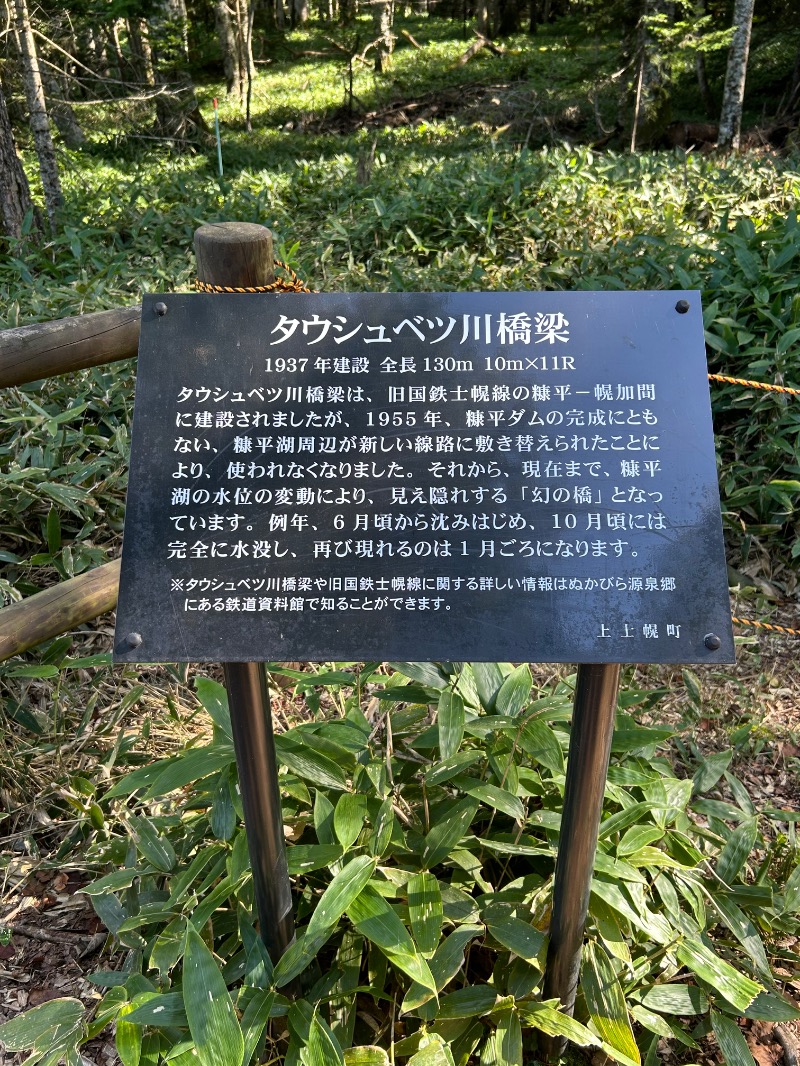 37_Mt.Fさんのふれあいプラザ浴場のサ活写真