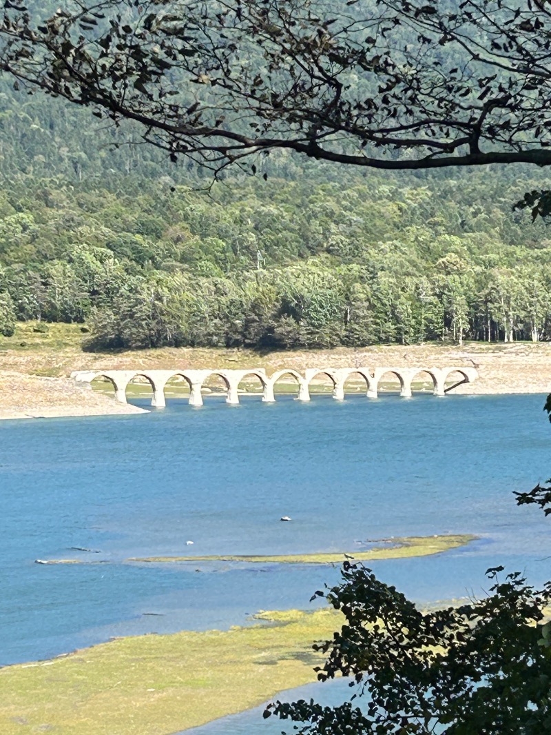 37_Mt.Fさんのふれあいプラザ浴場のサ活写真