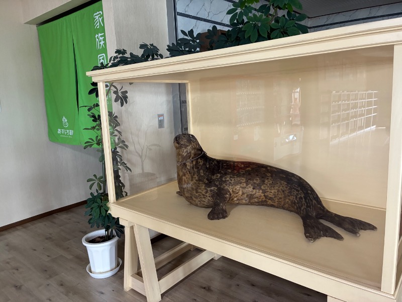 C51さんのあすなろ温泉のサ活写真
