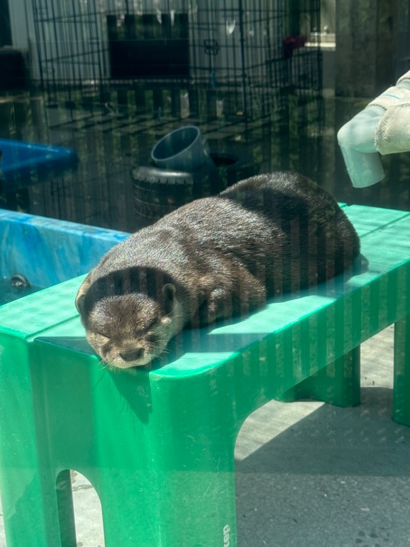 あらい🐈‍⬛さんのよみうりランド眺望温泉 花景の湯のサ活写真
