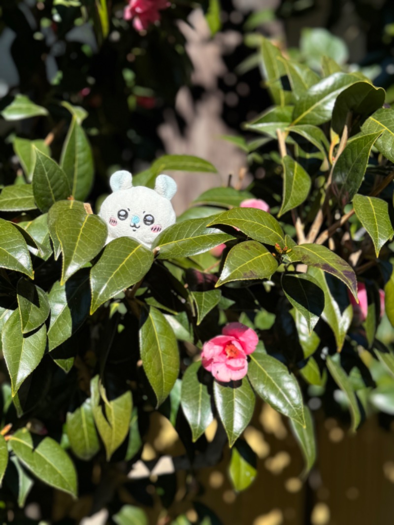 あらい🐈‍⬛さんの多摩境天然温泉 森乃彩のサ活写真