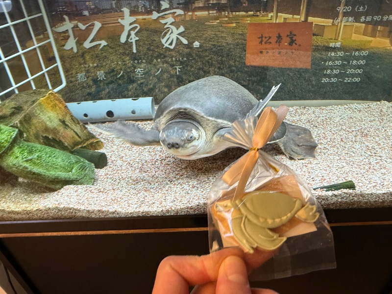 松野井 雅さんの松本湯のサ活写真