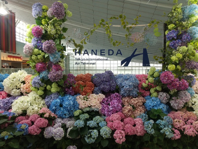 mokaさんの天然温泉 泉天空の湯 羽田空港のサ活写真