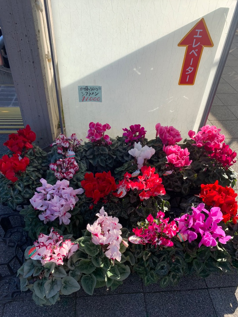 サウナッパさんの天然温泉 本宮の湯のサ活写真