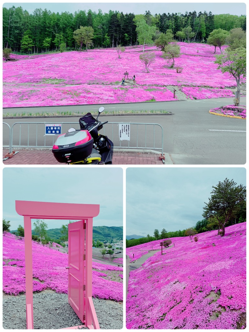 鍛高譚(たんたかたん)さんのたきのうえホテル渓谷のサ活写真