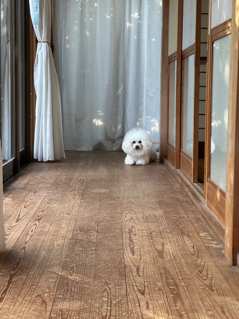 🈂️トウさんの鹿とサウナのサ活写真
