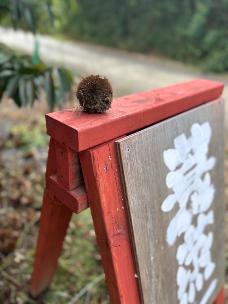 タカこやまさんのサウナ蓑蒸のサ活写真