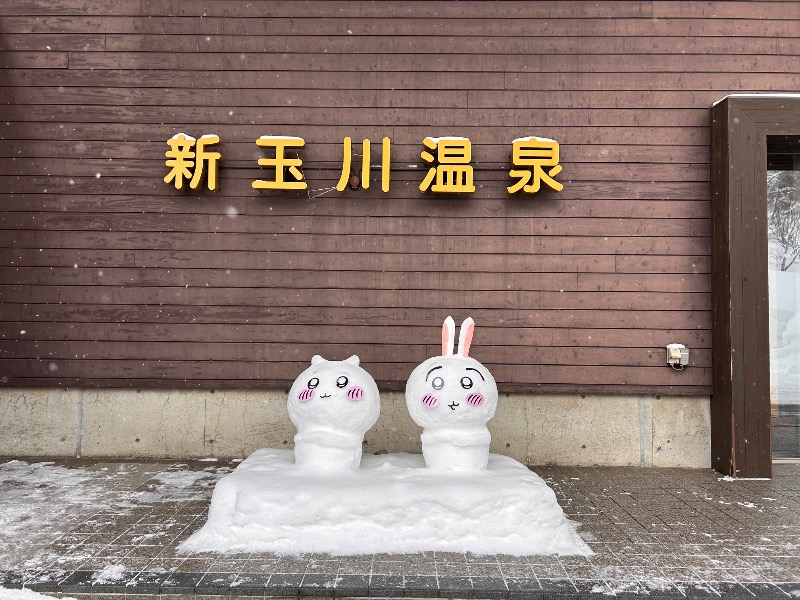 ゆぽさんの新玉川温泉のサ活写真