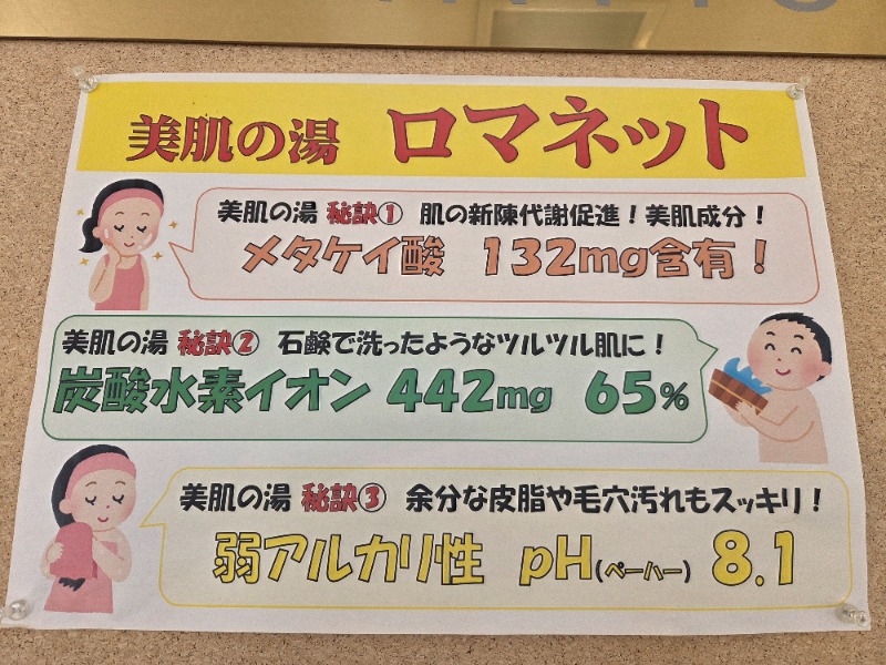 メーテルさんの美肌の湯 ロマネットのサ活写真