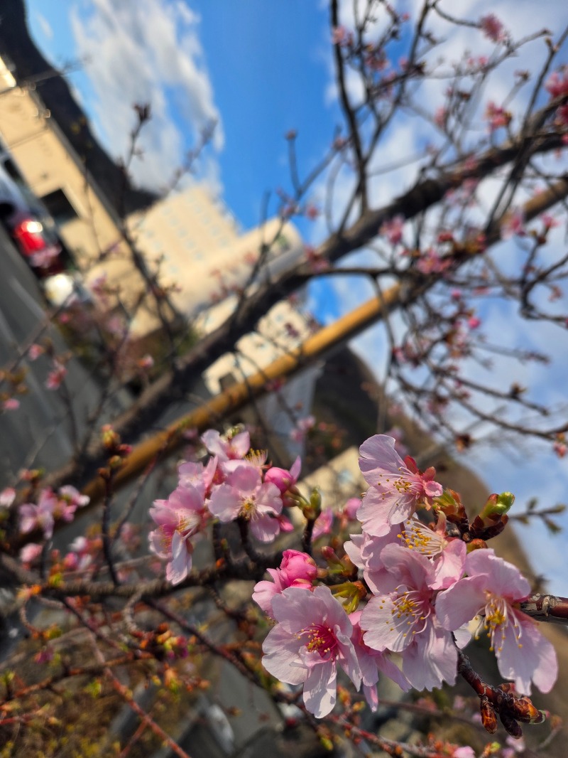 メーテルさんの石和健康ランドのサ活写真