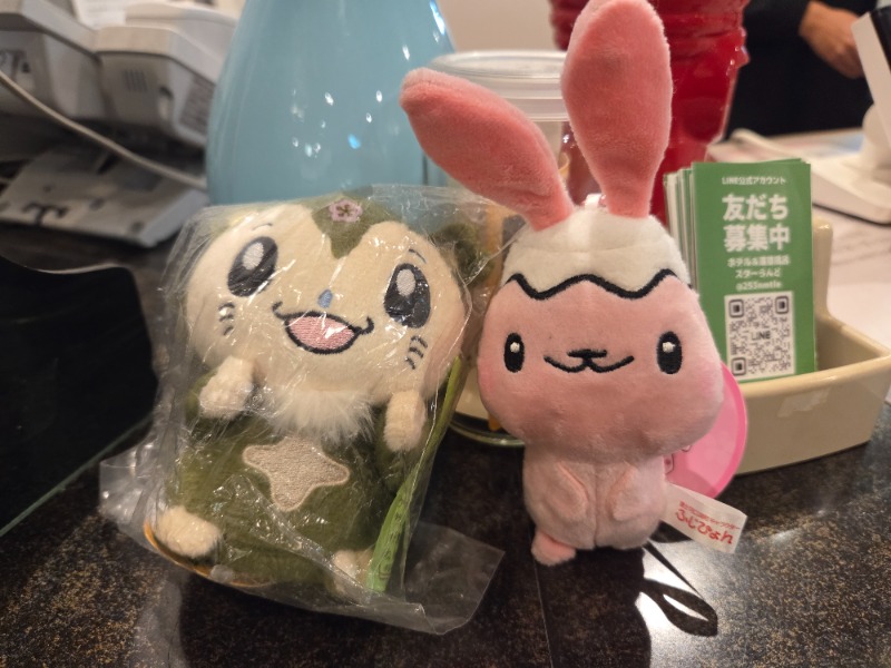 メーテルさんのホテル&薬草風呂 スターらんどのサ活写真