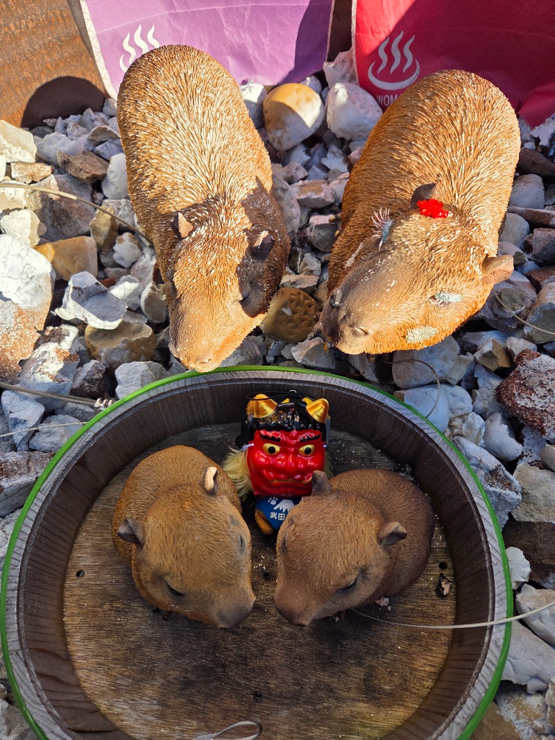 メーテルさんの富士山天然水SPA サウナ鷹の湯のサ活写真