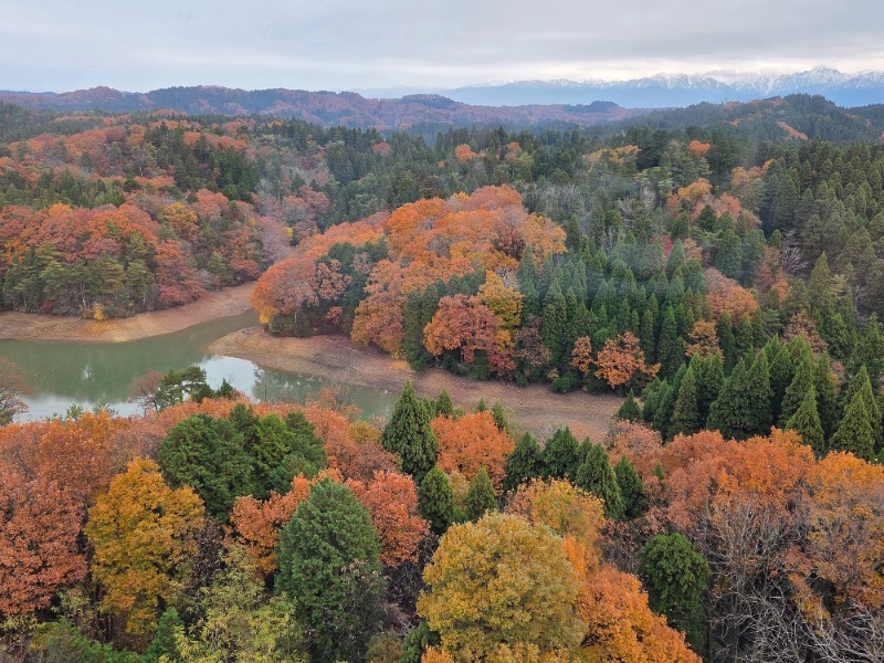 メーテルさんのメルキュール富山砺波リゾート&スパのサ活写真