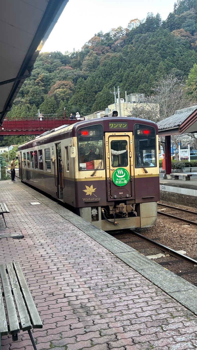 Sauna Refereeさんのサウナの森 水沼ヴィレッジのサ活写真