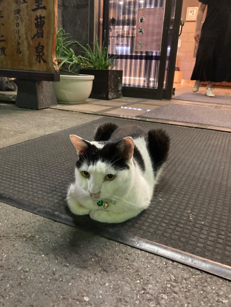 ビール大好きさんさんの行田・湯本天然温泉 茂美の湯のサ活写真