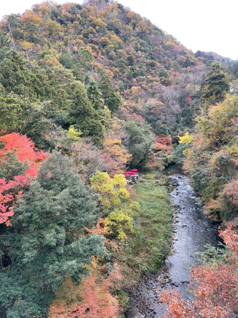 モノノフさんの湯快リゾートプレミアム 山中温泉 よしのや依緑園のサ活写真