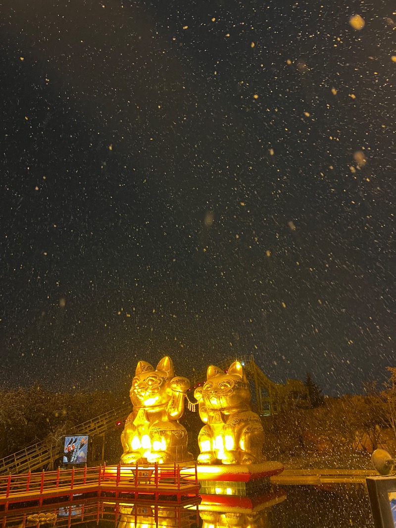 ナマルさんの天然温泉ざぶ～んのサ活写真