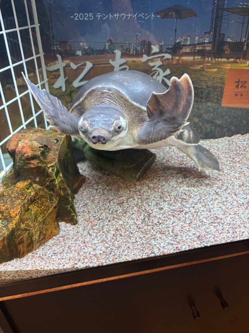 みさんの松本湯のサ活写真