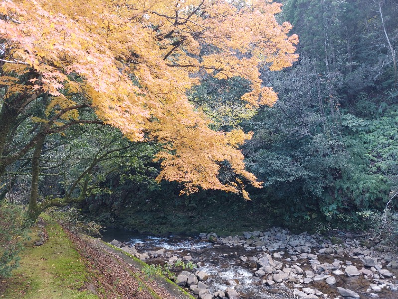 T_aroさんの青井岳温泉(青井岳荘)のサ活写真