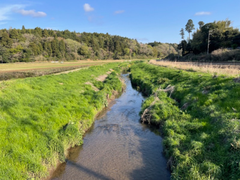 みーちん٩( 'ω' )وさんの東京湯楽城のサ活写真