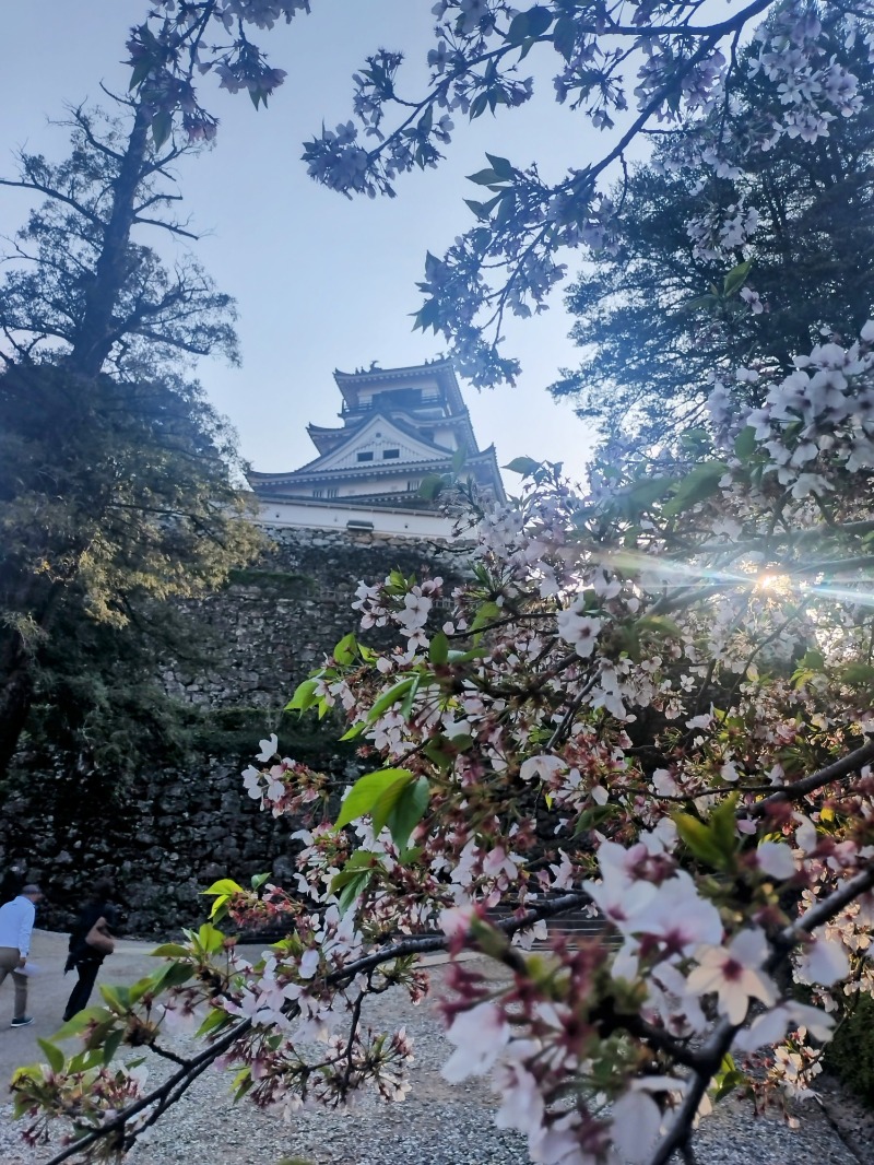 ノンキチさんの土佐望月温泉 姫若子の湯のサ活写真
