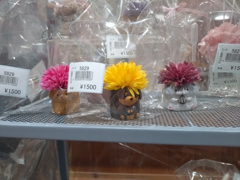 ノンキチさんのたかせ天然温泉のサ活写真