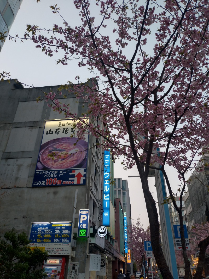 ノンキチさんのForest House (ウェルビー栄 女性専用エリア)のサ活写真