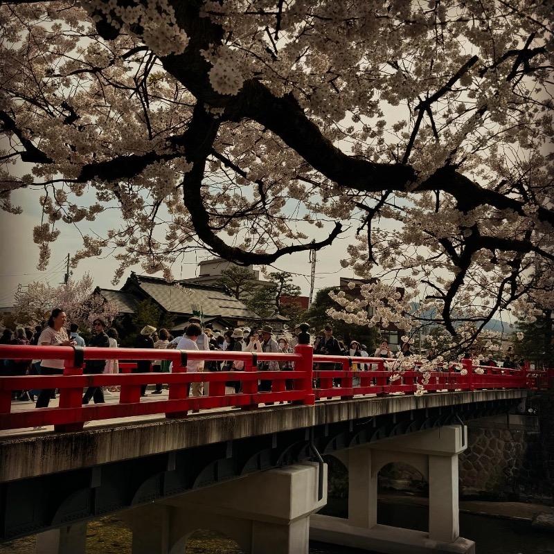 Emiさんの高山桜庵のサ活写真