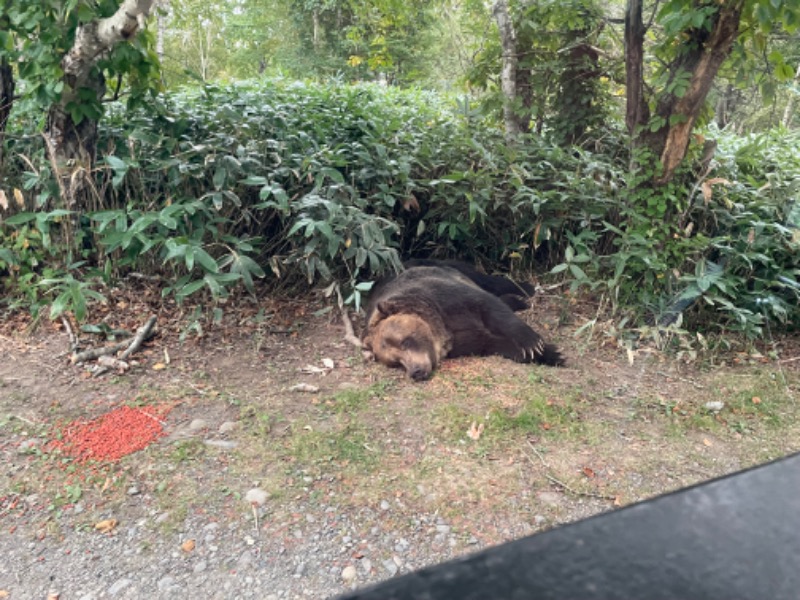 TTPPさんのサホロリゾートホテルのサ活写真